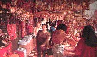 chinese new year.jpg (15527 bytes)